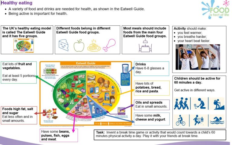 Eatwell Guide Moortown Primary School Leeds